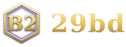 29bd logo